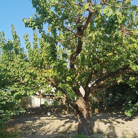 Villa Dans Le Sud Люнел Екстериор снимка