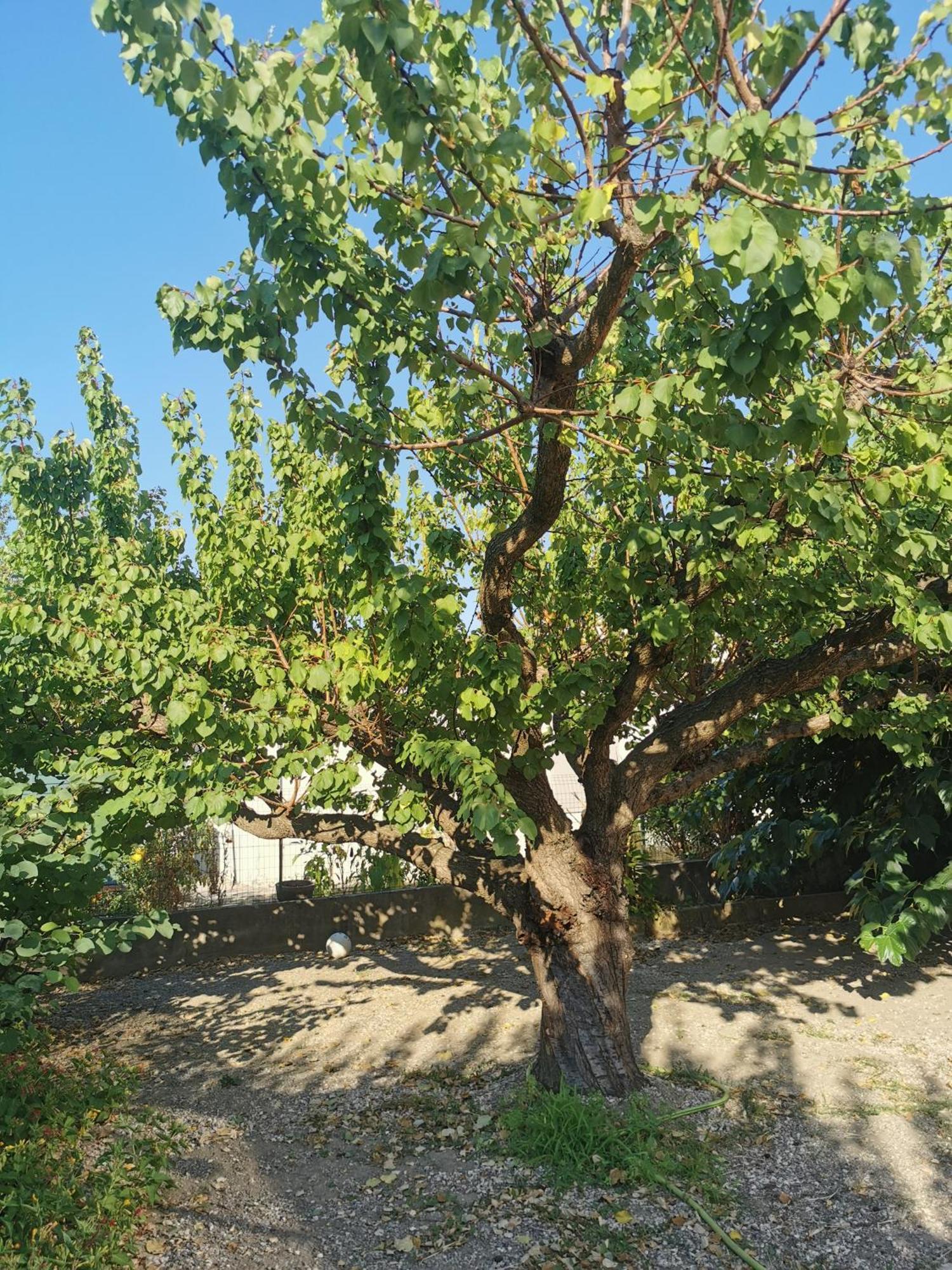 Villa Dans Le Sud Люнел Екстериор снимка